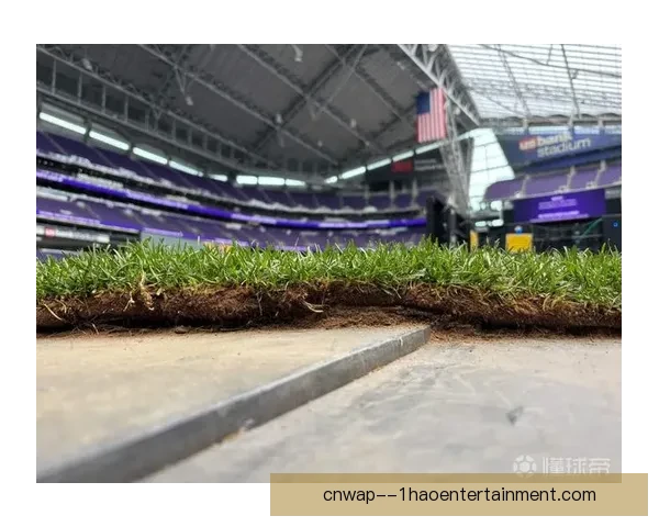 世界杯温哥华赛区宣布安装可伸缩天然草坪提升比赛体验